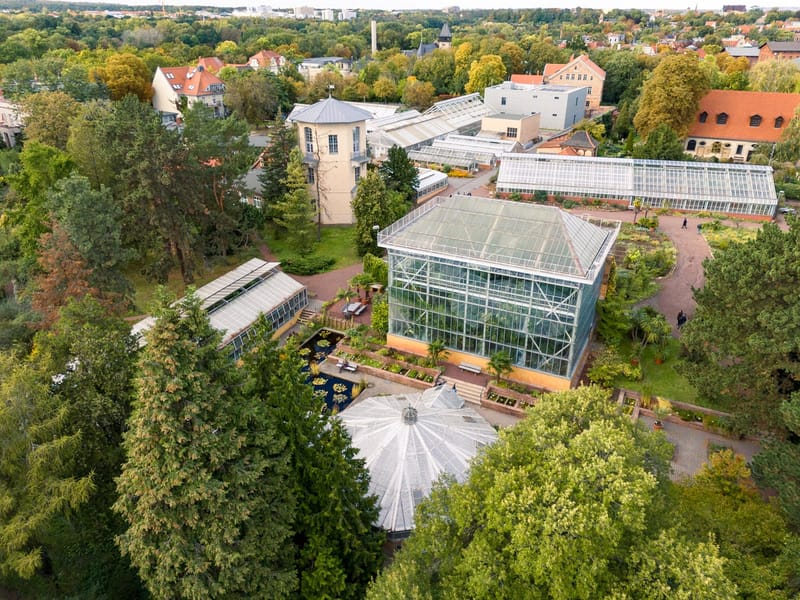 Wein Tasting im Botanischen Garten